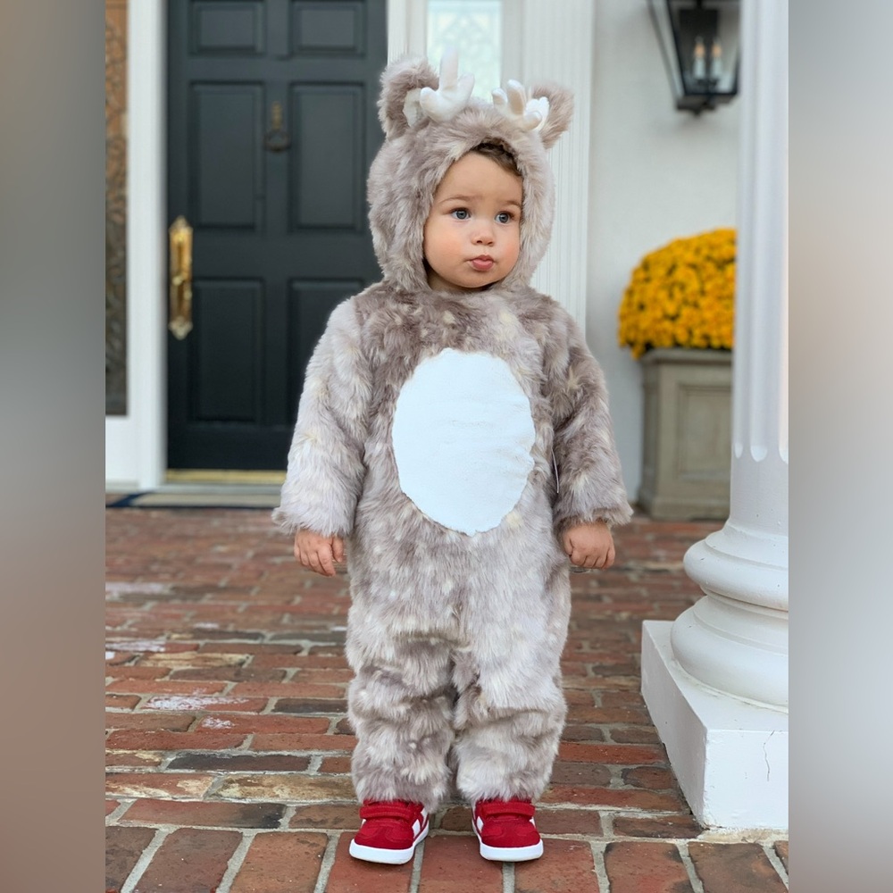 POTTERY BARN KIDS Halloween costume “woodland creature” 12-24M